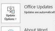 What version of Office 365 I have
