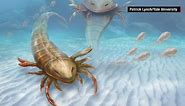 Giant prehistoric scorpion discovered