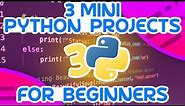 3 Mini Python Projects - For Beginners