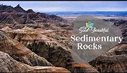 Sedimentary Rocks | Geology | The Good and the Beautiful