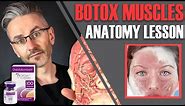 MUSCLE ANATOMY: How to avoid side effects & maximise Botox efficiency [Aesthetics Mastery Show]