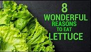 8 Wonderful Reasons To Eat Lettuce | Organic Facts