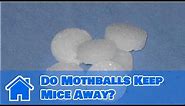 Getting Rid of Mice : Do Mothballs Keep Mice Away?