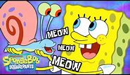 EVERY Gary Meow Ever! 🐌 | SpongeBob