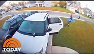 Watch Man Save Wife From Bobcat By Grabbing And Hurling It Across Lawn | TODAY