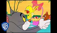 Tom & Jerry | Happy Easter! | Classic Cartoon | WB Kids