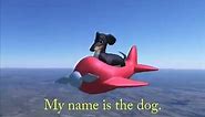The Dog in The Airplane dank meme