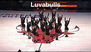 Luvabulls (Chicago Bulls Dancers) - NBA Dancers - 11/29/2021 dance performance - Bulls vs Hornets