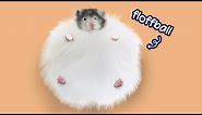 Hi I'm Walnut, the Fluffy Hamster