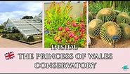 Kew Gardens Princess of Wales Conservatory tour | Carnivorous, cactus tropical plants, London, UK