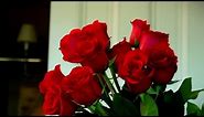 How to Make Your Valentine's Roses Last | At Home With P. Allen Smith
