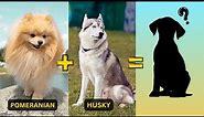 Top 21 Unusual & Weird Dog Breed Mixes You've Never Seen Before!