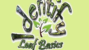 Plant Identification - Leaf Basics