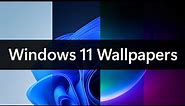 Every Windows 11 Wallpaper!