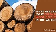 The 14 Most Expensive Wood Species in the World