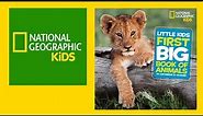 National Geographic Little Kids First Big Book of Animals - Quick Flip Through Preview