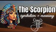 SCORPION SYMBOL & MEANING ✨ ANCIENT EGYPTIAN SYMBOL #scorpio #scorpion #serket #egypt