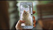 How Do Live Photos Work? (iPhone 6S / 6S Plus / SE)