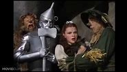 The Wizard Of Oz (1939) “IM METLING!!!!!!!!” / Wicked Witch’s Death