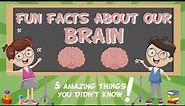 Our Brain: AMAZING FUN FACTS | Educational Videos For Kids