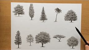 Drawing Trees With Charcoal Pencils