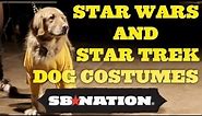 Star Wars vs. Star Trek Dog Costume Contest