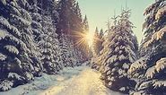 110 Cute Winter Instagram Captions to Welcome Cozy Season
