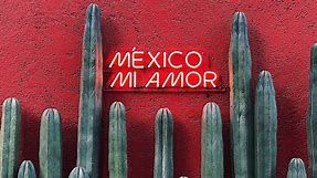 150  Best Mexico Quotes & Mexican Instagram Captions [2024]