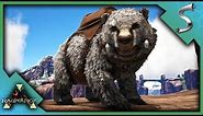 POLAR BEAR TAMING & BREEDING! - Ark: RAGNAROK [DLC Gameplay E80]