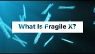 What Is Fragile X Syndrome?