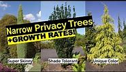 16 Narrow Evergreen Tree Suggestions For Year-Round Privacy In Small Yards (+ Growth Rates)