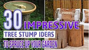 30 Impressive Tree Stump Ideas To Spruce Up Your Garden