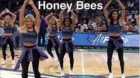 Honey Bees (Charlotte Hornets Dancers) - NBA Dancers - 4/7/2022 dance performance