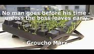 Funny Work Quotes I Short Quotes