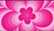 Pink Flower Background Screensaver Loop 1 Hour 1080p HD