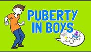 All About Boys Puberty