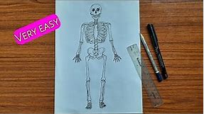 How to draw human skeleton | Human anatomy drawing | Skeleton drawing very easy