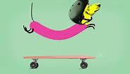 Wiener Dog Riding A Skateboard Animation