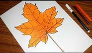 How to draw a MAPLE LEAF 🍁 step by step | Maple leaf drawing easy |