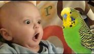 30 Funniest Cute Baby Compilation 😂😂😂 Fun and Fails Baby Video
