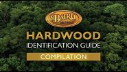 Choosing Between Different Types of Wood for Your DIY Project | Wood Identification Guide