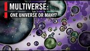 Multiverse: One Universe or Many?