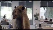 Geico - Hump Day REMIX "Guess What Day It Is" Camel (FINAL) Happier than a Camel on Wednesday