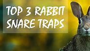 Top 3 Rabbit Snare Traps - Survival Sullivan
