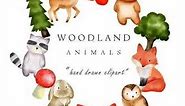 Watercolor Woodland Animal Clip Art Images (Cute & Beautiful PNG Images)