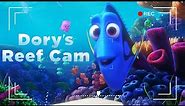 Dory's Reef Cam | Disney Finding Nemo Animated Screensaver