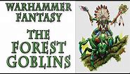 Warhammer Fantasy Lore - Forest Goblins, Who are They?