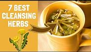 7 Strong Herbs For Natural Body Detox & Cleanse (Perfect for Tea)