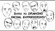 Drawing Genuine Facial Expressions (Part1)