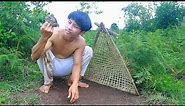 Primitive Technology Idea: Building A Bamboo Basket Bird Trap To Trapping Bird In The Jungle